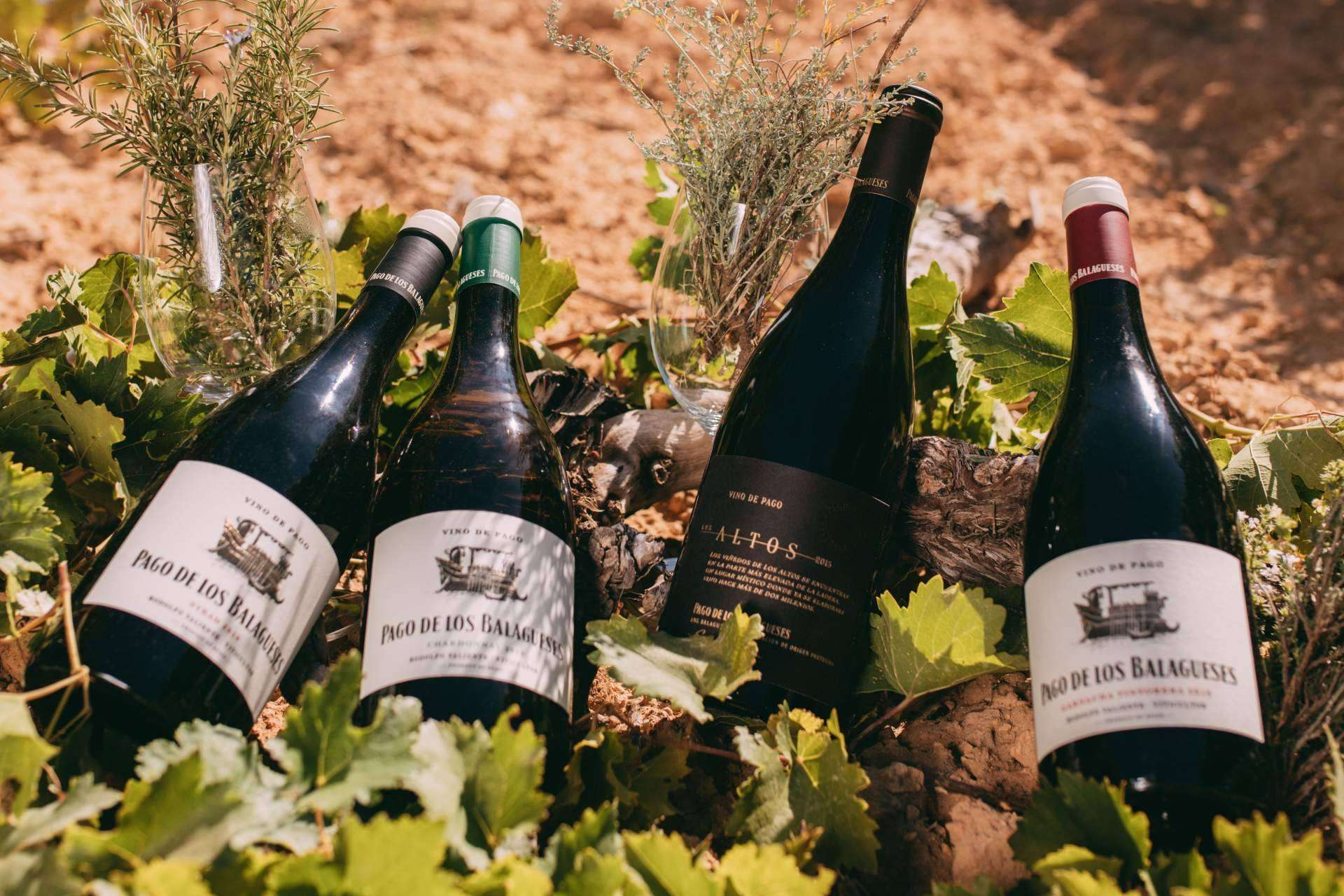 Pago de los Balagueses destaca como la firma de vinos premium de Bodegas Vegalfaro