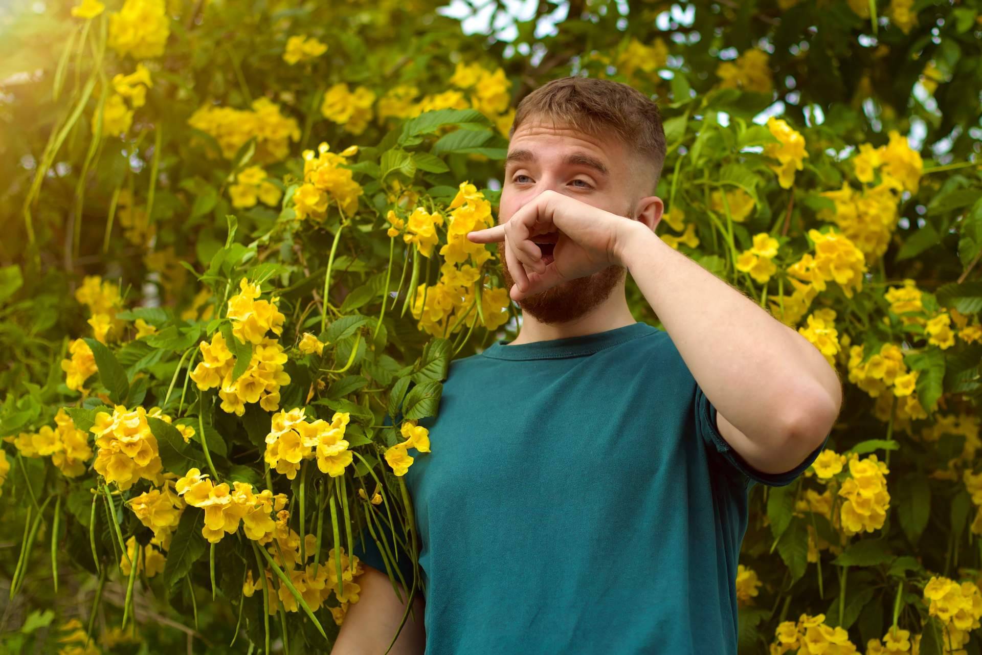 Astenia primaveral, síntomas y formas de combatirla con vitaminas, por Farmasky