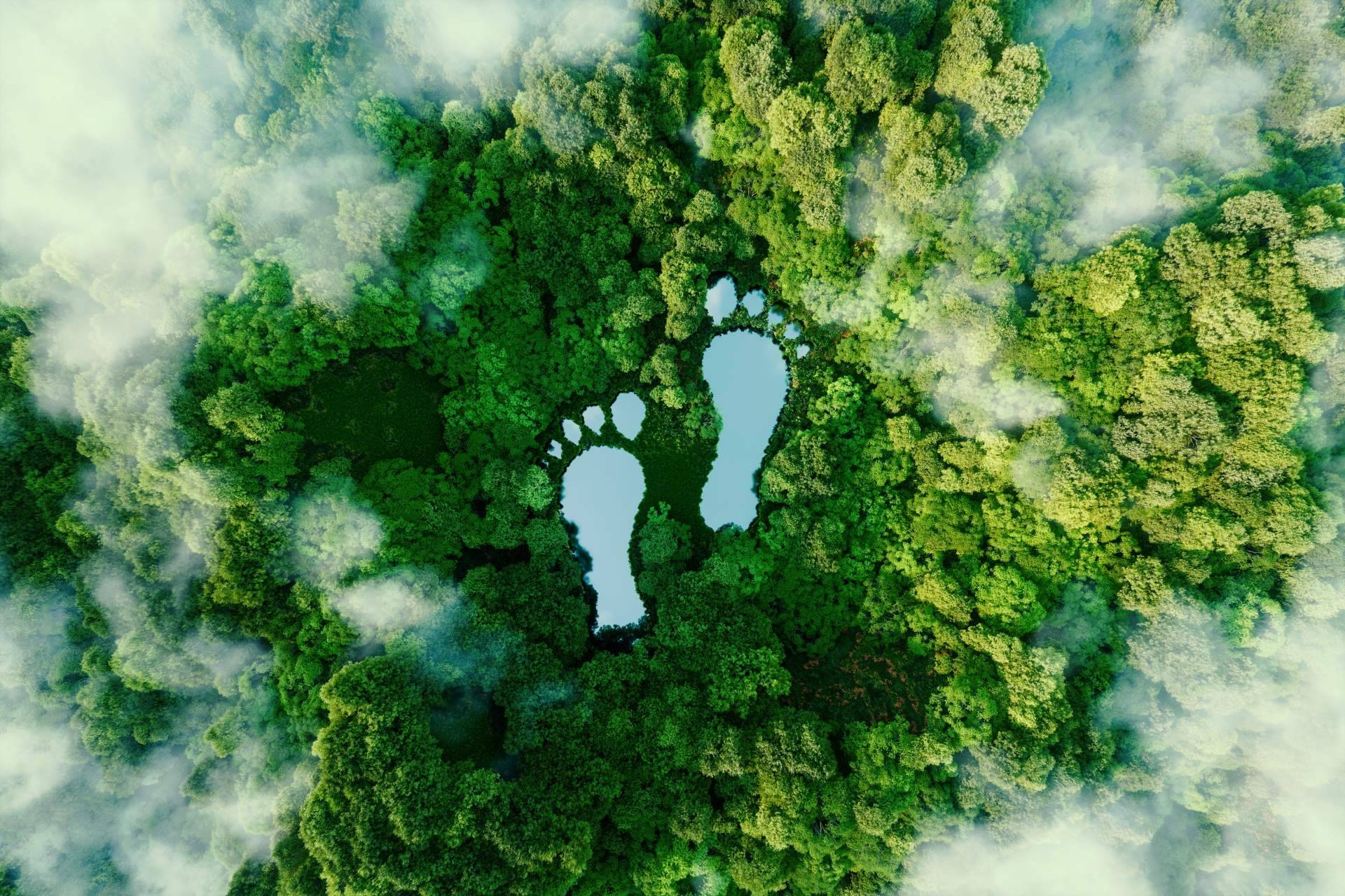 Consultoría estratégica para reducir la huella de carbono en las empresas, de la mano de Ingade