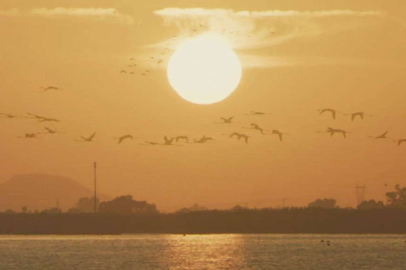 Las salinas de Santa Pola producen una sal marina que cuenta con sello ecológico y es ejemplo de sostenibilidad