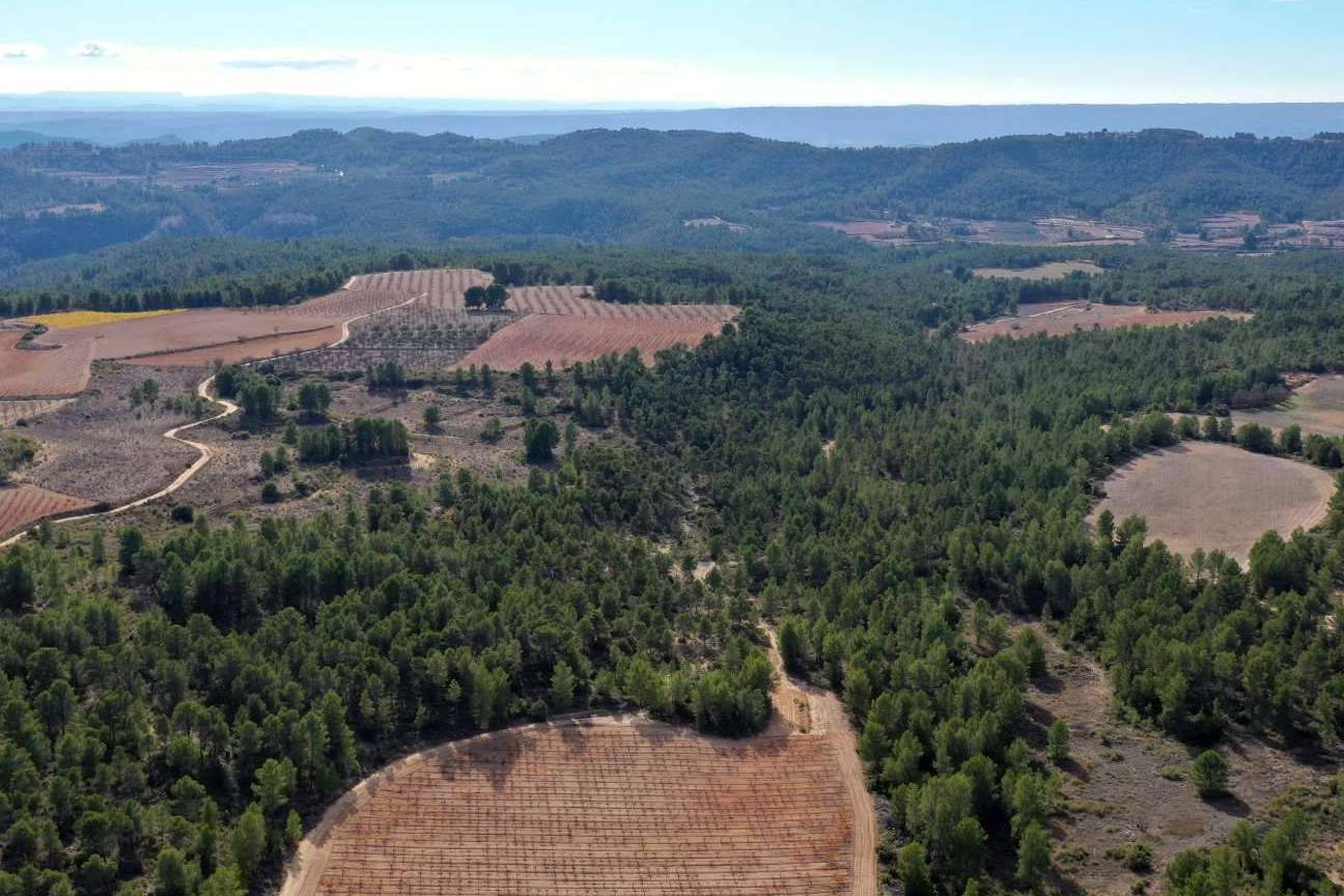 Vinos Vegalfaro, galardonados internacionalmente