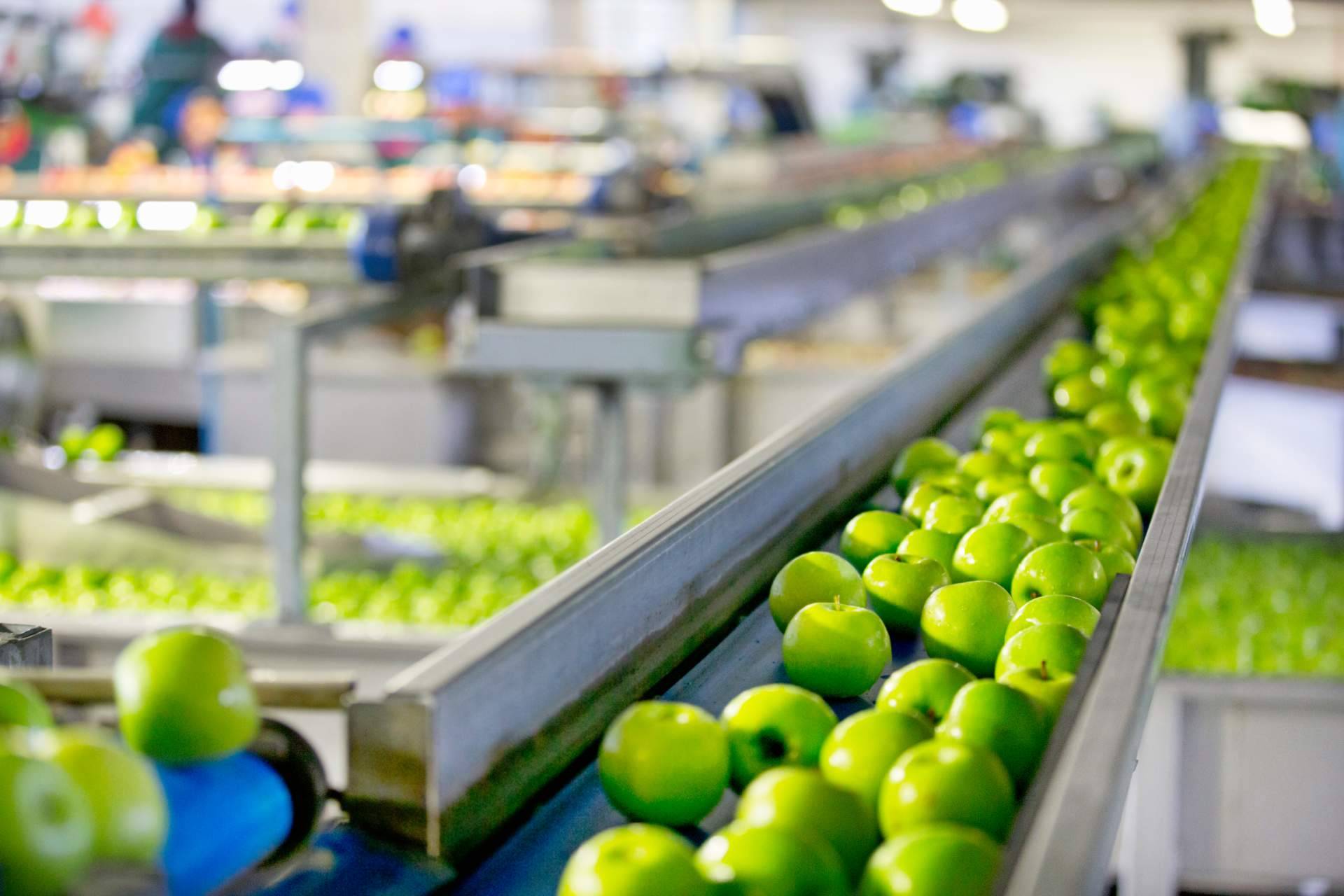 ¿Dónde encontrar especialistas en gestión y el análisis de datos comerciales para las empresas?