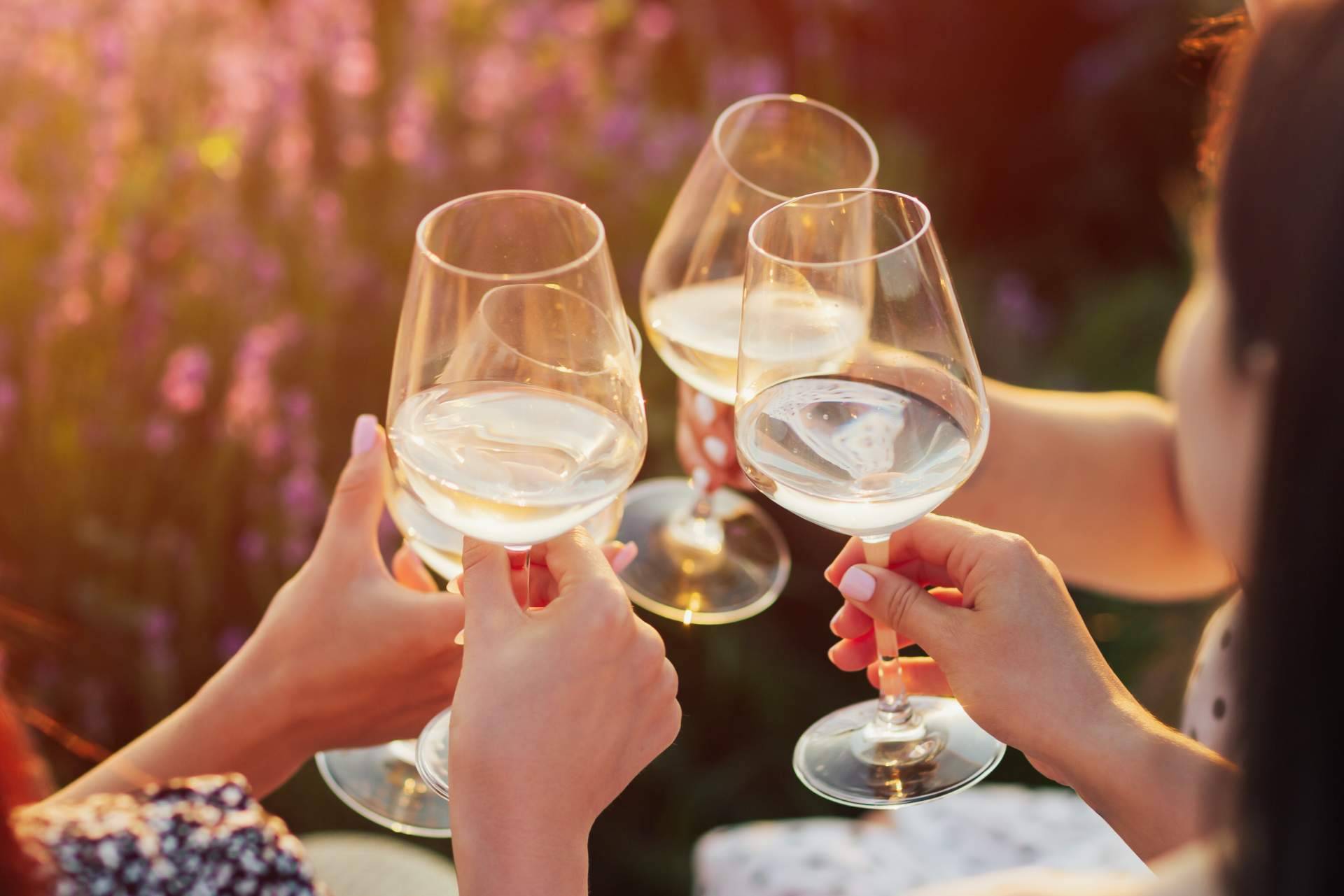 Catálogo de vinos con denominación de origen de Difersa & Primavinia