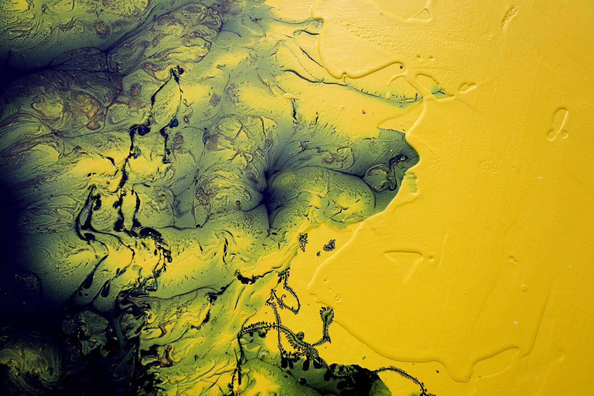 Fermín Fleites, explorando la intersección entre el arte y las misteriosas fuerzas de la naturaleza