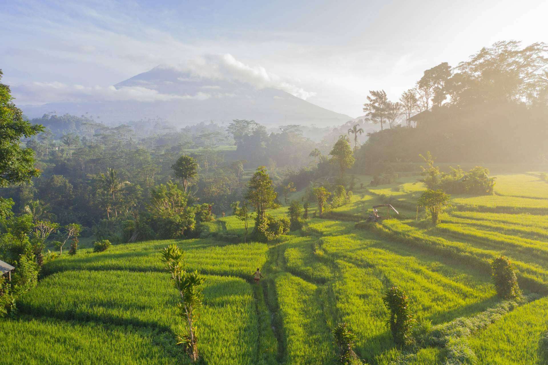 Las ventajas de viajar a Asia con Viaxes Low Cost