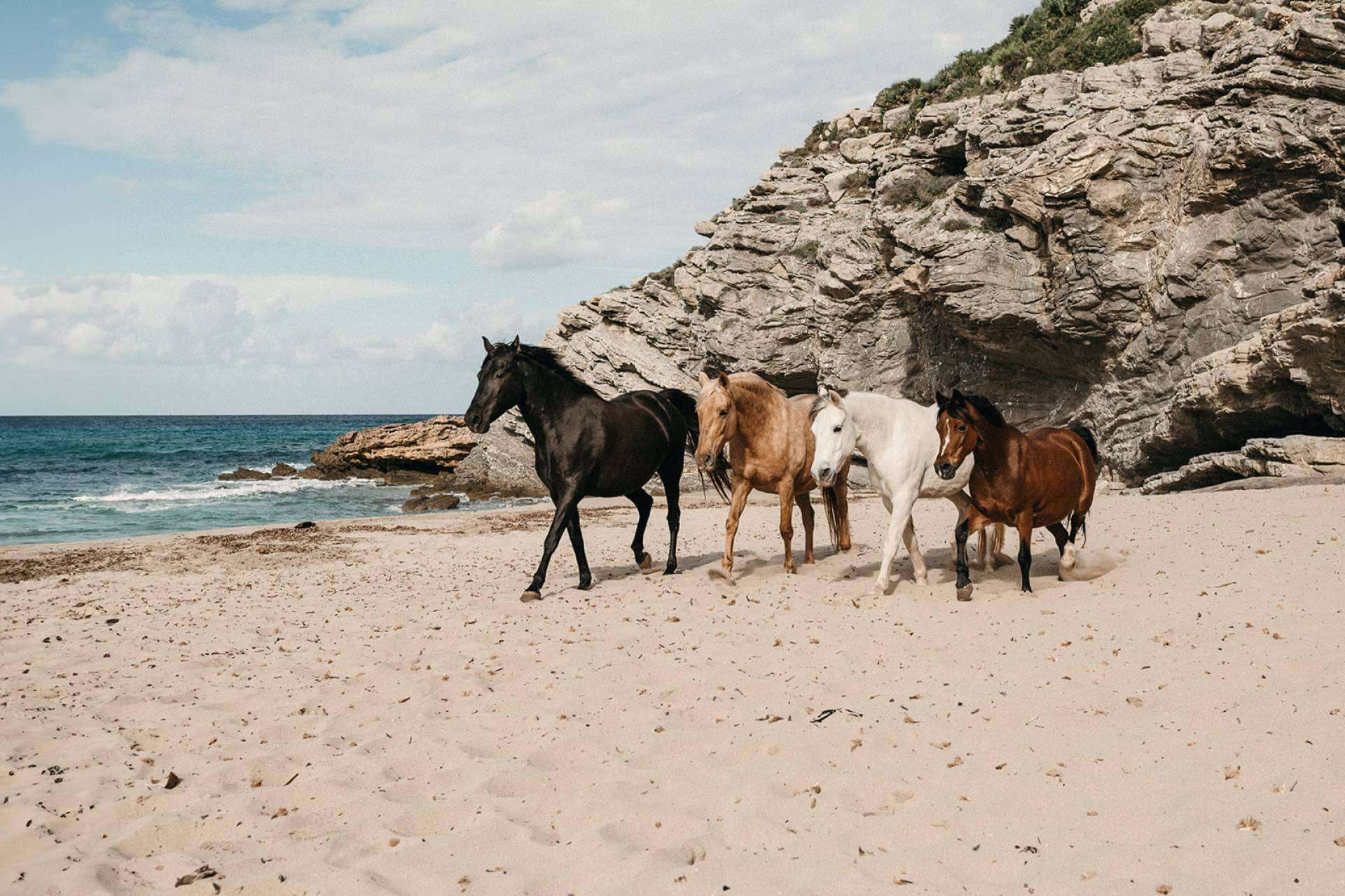 Coaching asistido por caballos para la reducción y gestión de estrés