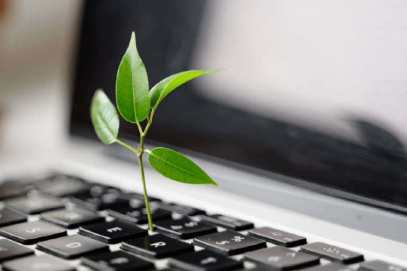 La firma digital y su contribución al medio ambiente
