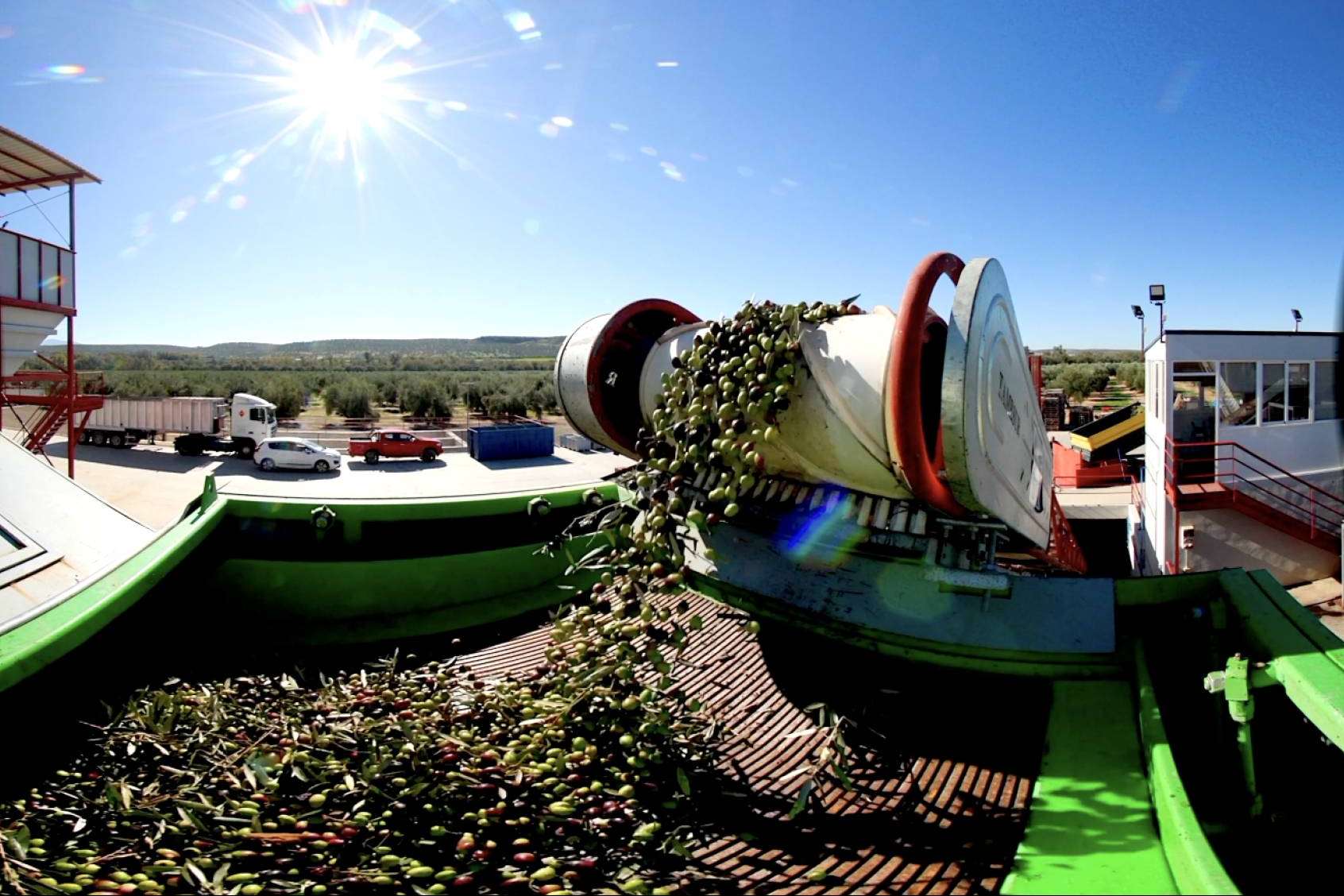 La propuesta con realidad aumentada de Aires de Jaén permite descubrir el mundo del aceite de oliva