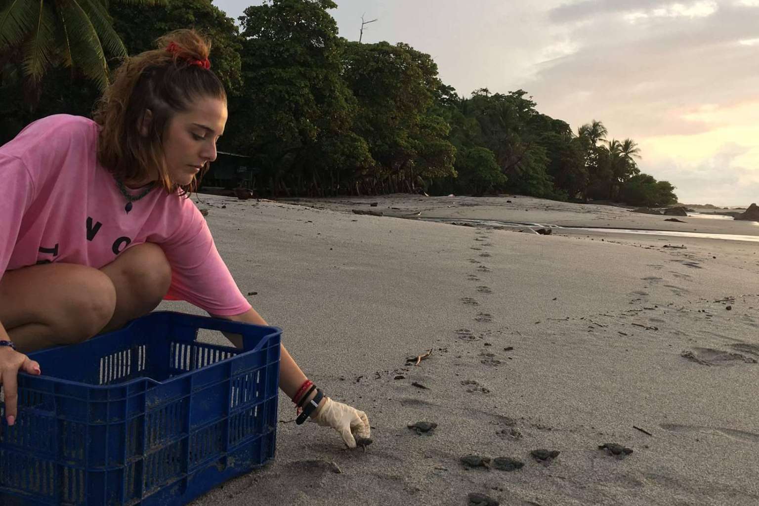 Cómo acceder a programas de voluntariado con animales en América Latina, Asia y África