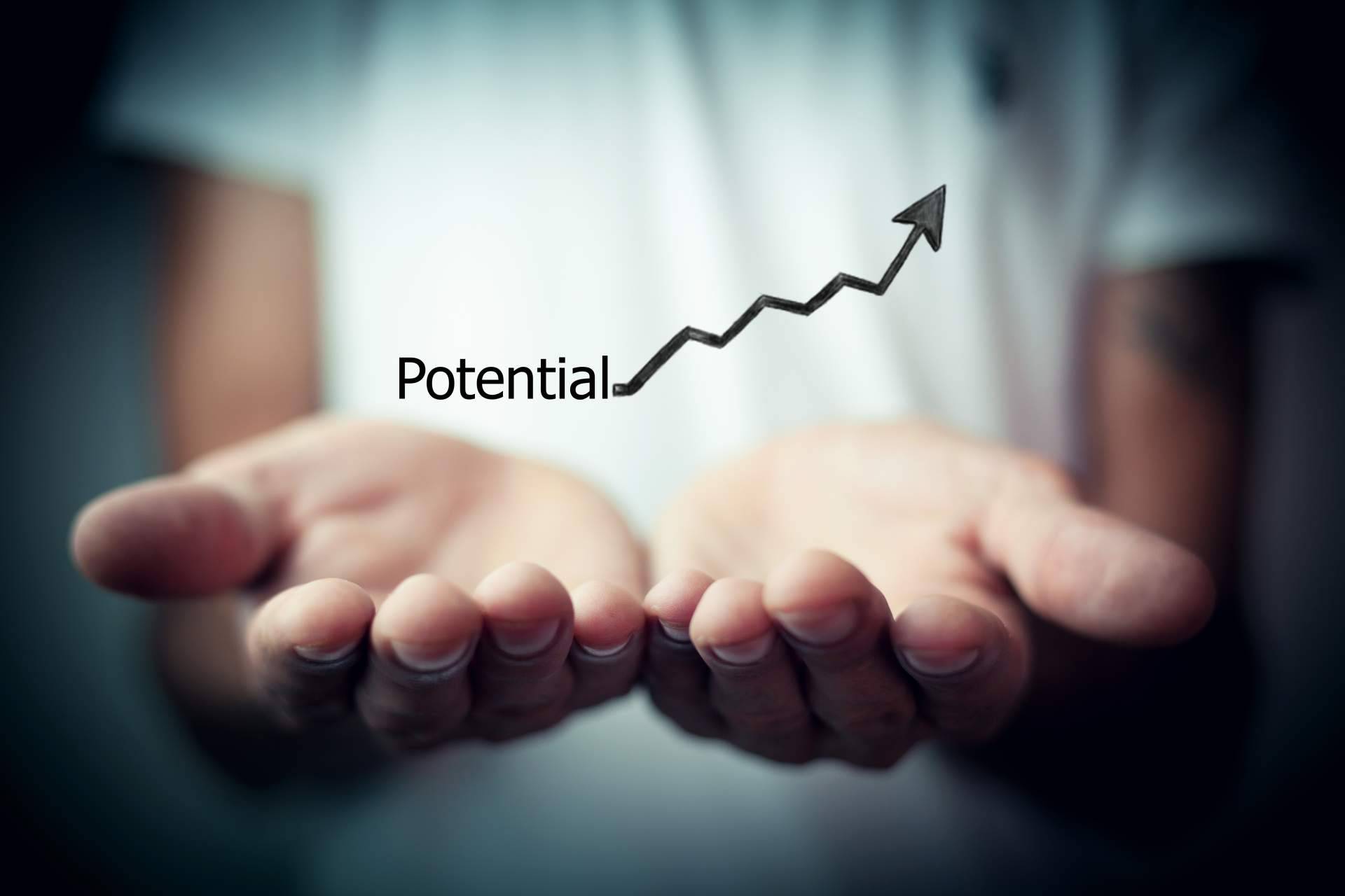 Agile Institute ha desarrollado un modelo para impulsar la agilidad en las organizaciones