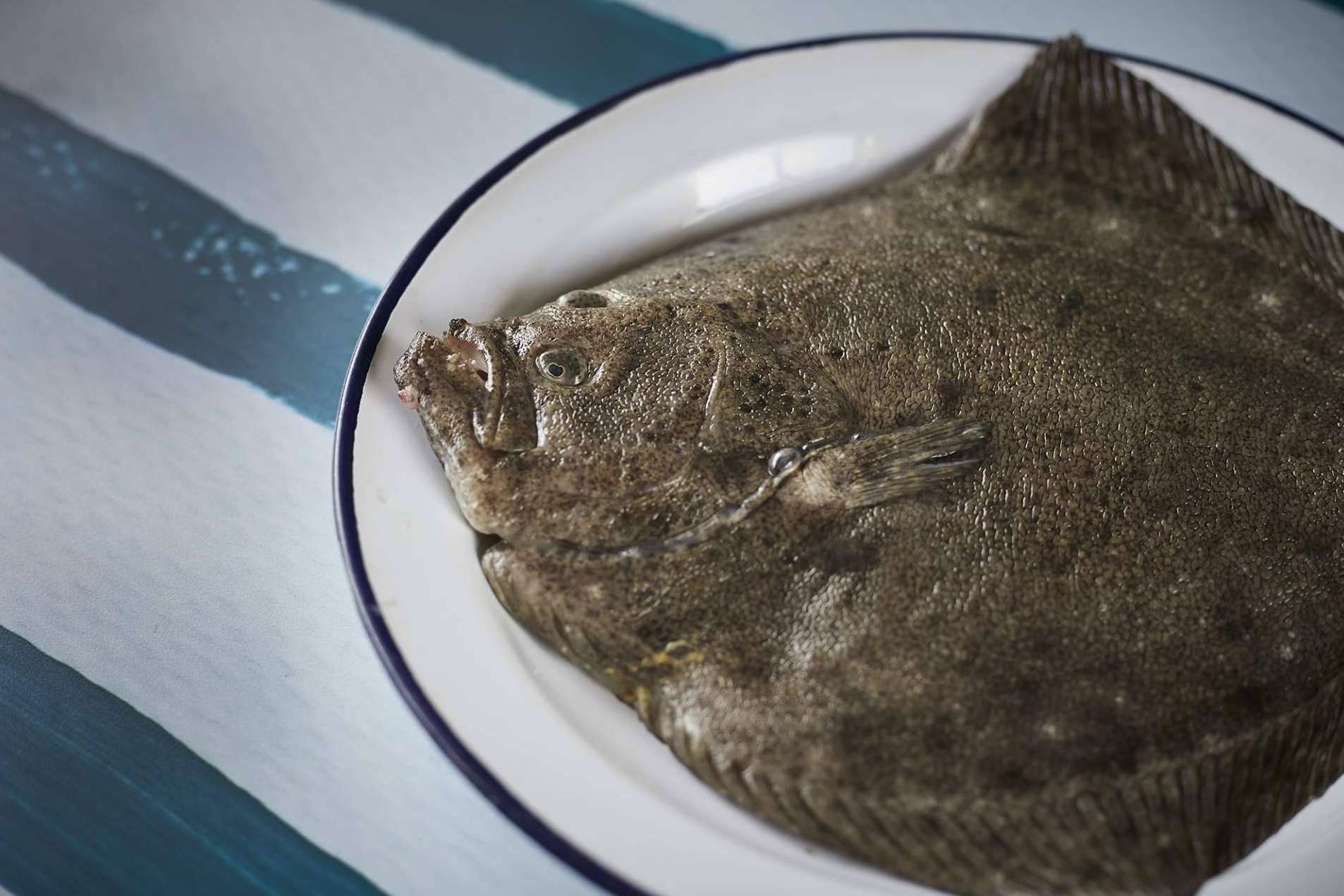 Volver a la rutina saludable con pescado blanco, una de las mejores opciones tras las vacaciones