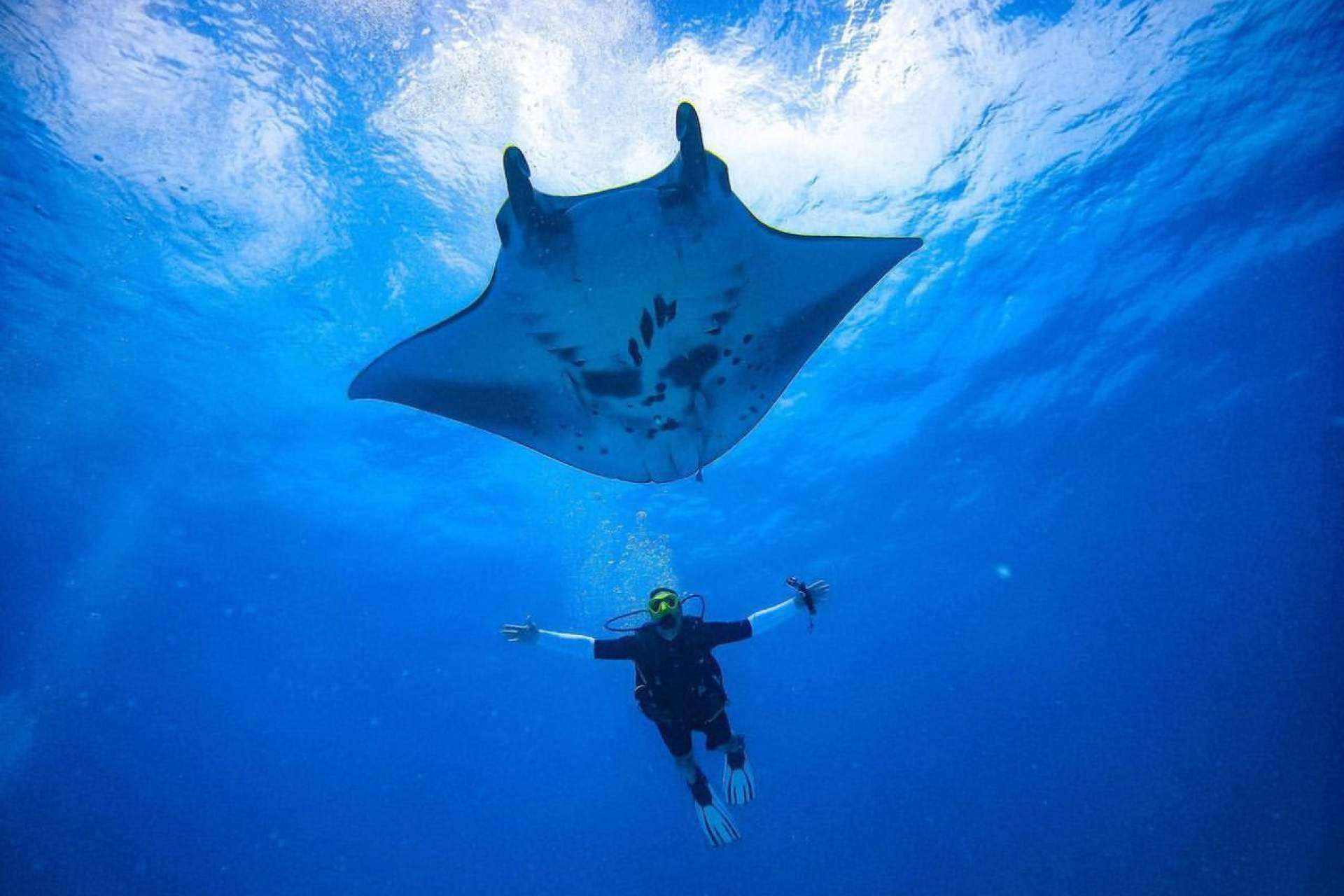 Drop Dive Maldives destaca por sus instructores multilingües