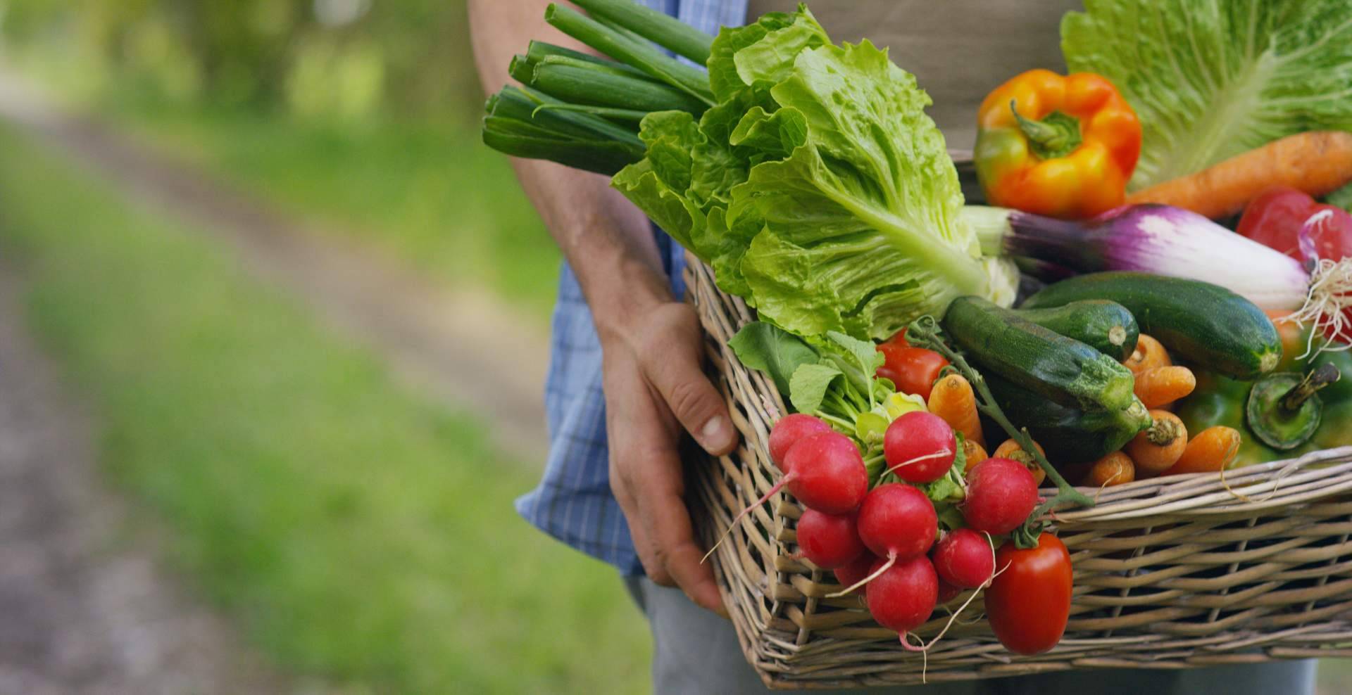 Zumos naturales de alta calidad que cuidan el bienestar con Baor Products