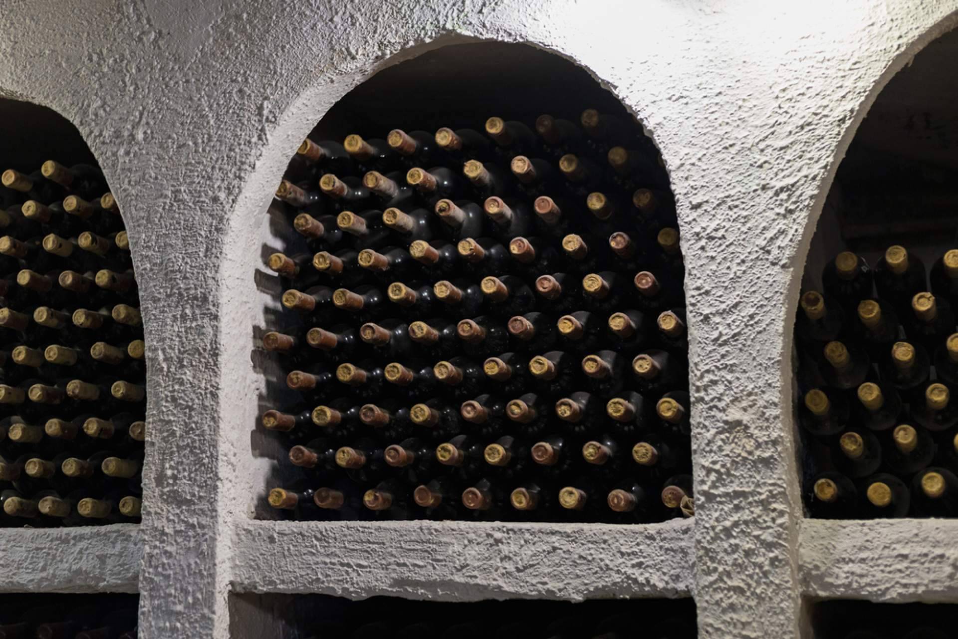 El vino tinto está de moda, Naturelovers Wines y su selección ecológica de calidad
