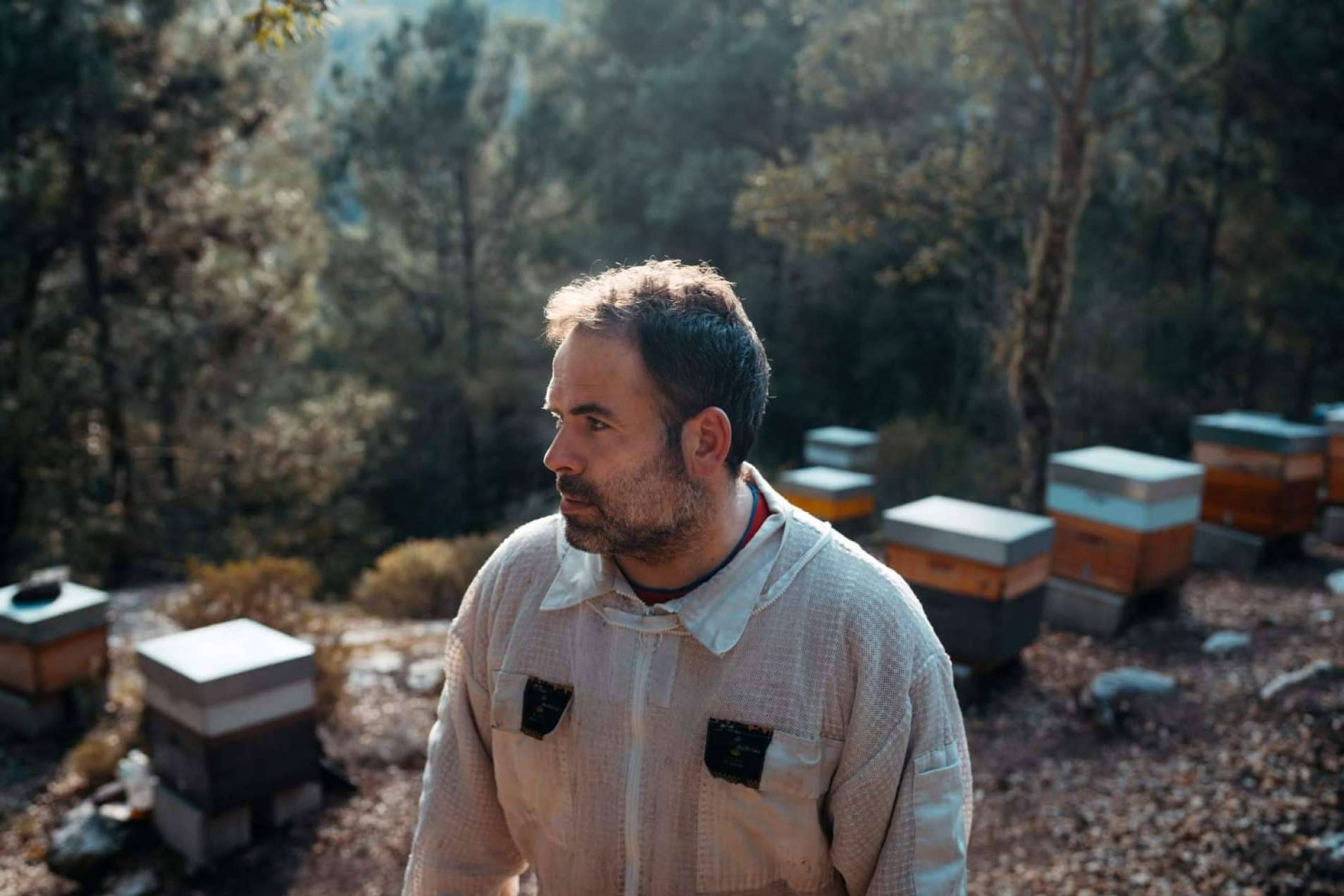 Terras de Boborás transforma la apicultura en Galicia con una oferta de productos artesanales y premiados