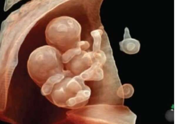 SCPmedical amplía su catálogo con su variedad de ecógrafos accesibles y soporte técnico especializado