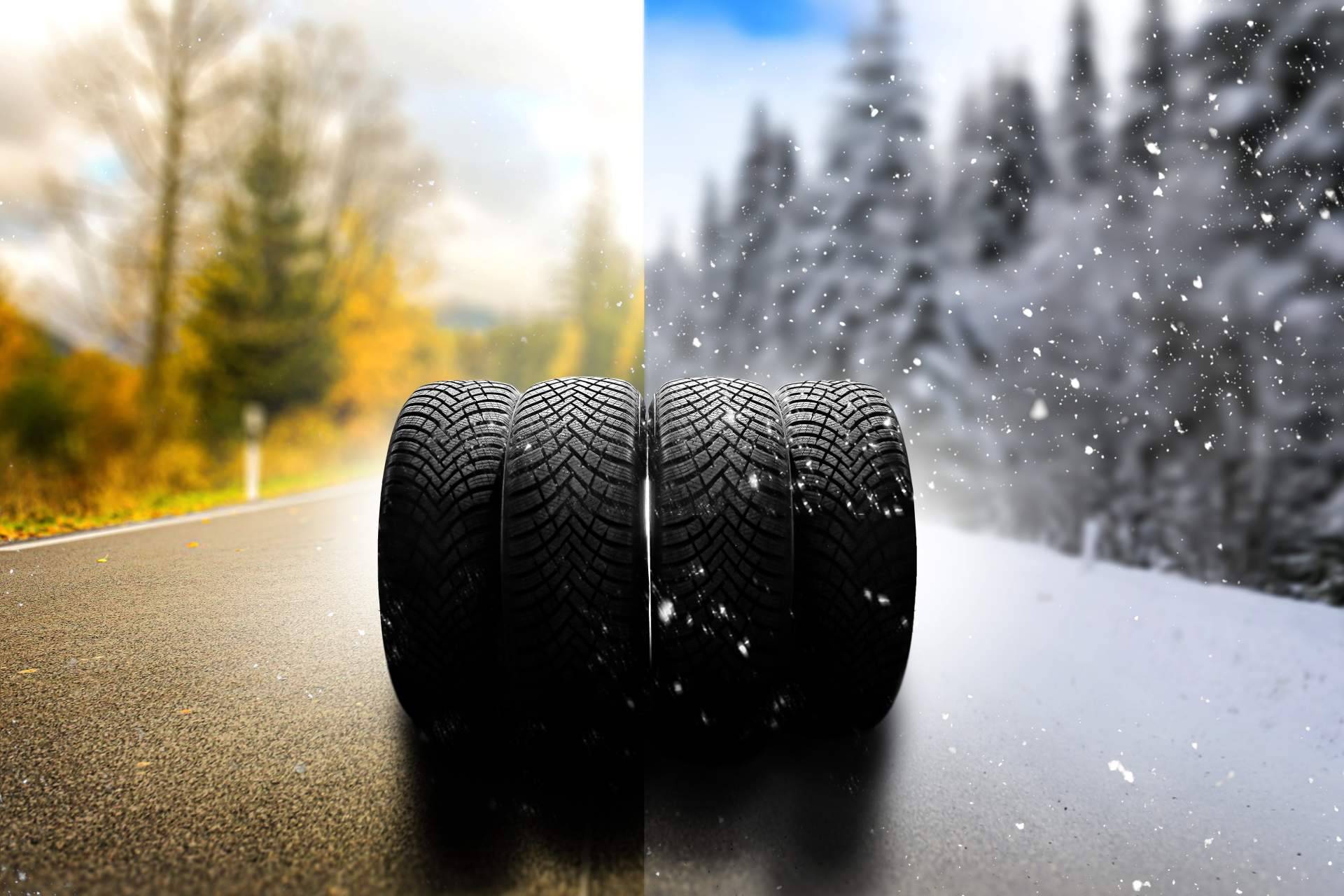 Neumáticos Porpoco incorpora neumáticos Sava, combinando tecnología Goodyear y precios accesibles
