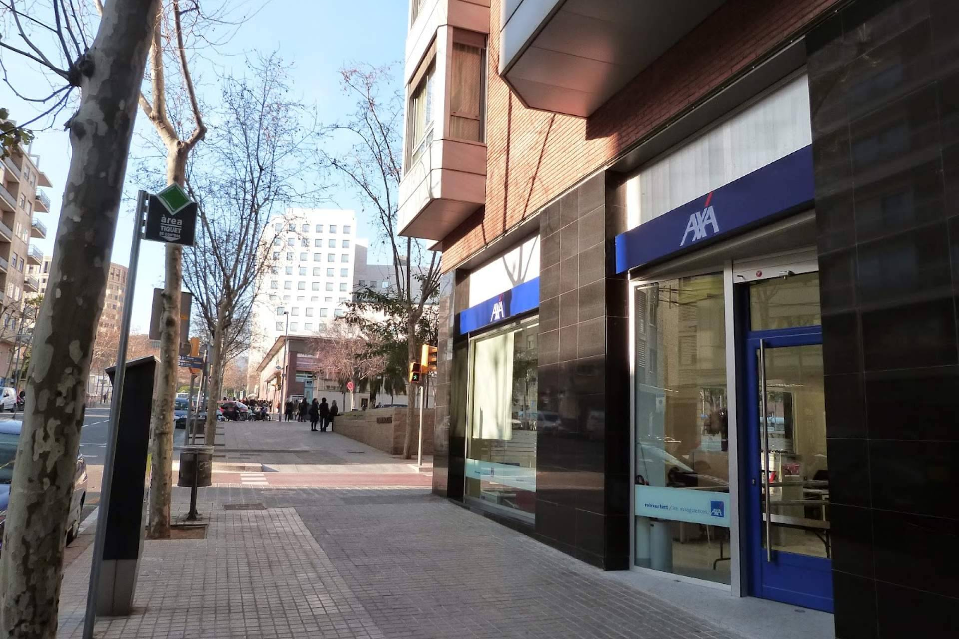 Tres décadas avalan a Holdin Mastery & Silván como especialistas en seguros para profesionales