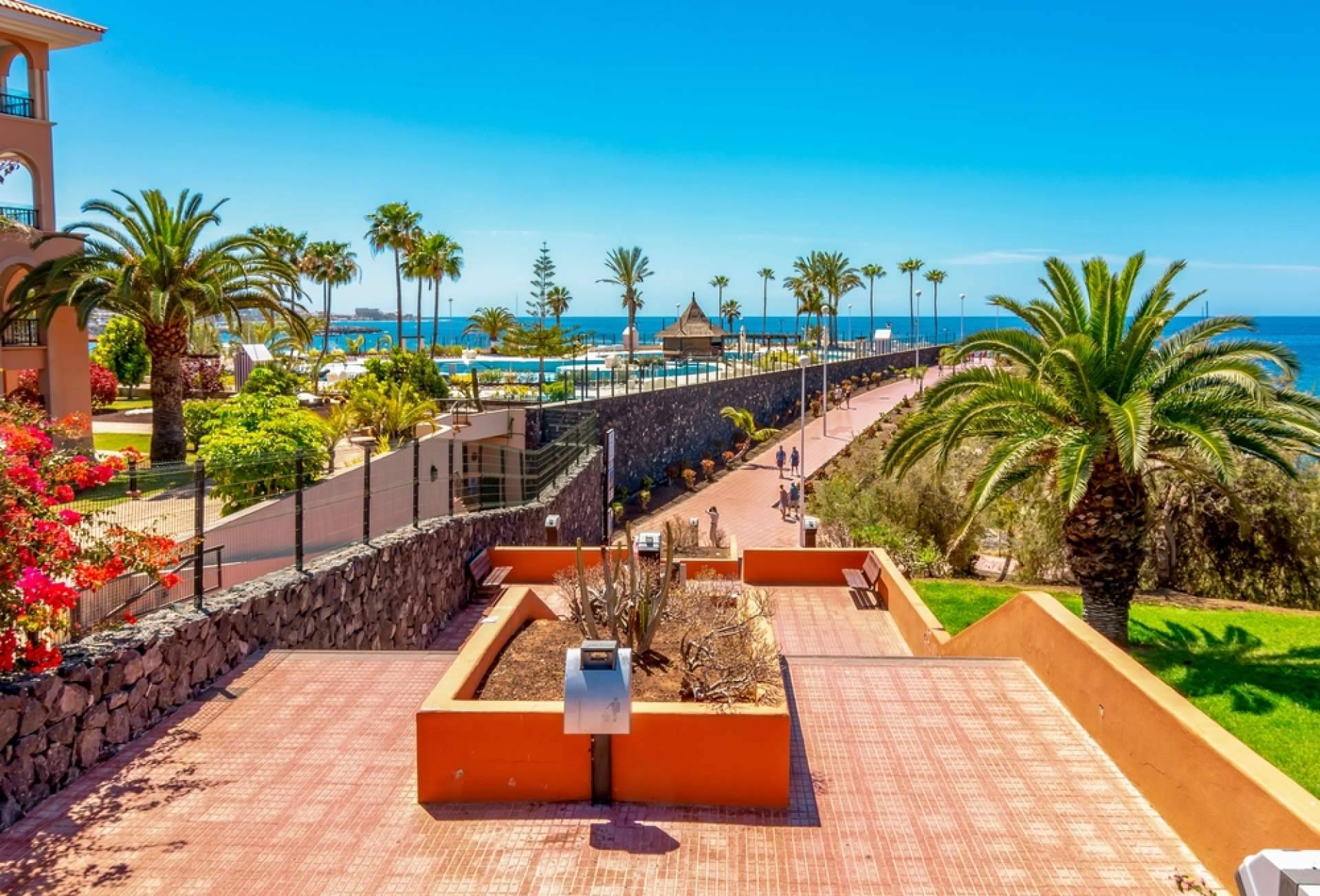 Love Your Home, inmobiliaria de confianza en Tenerife con enfoque personalizado