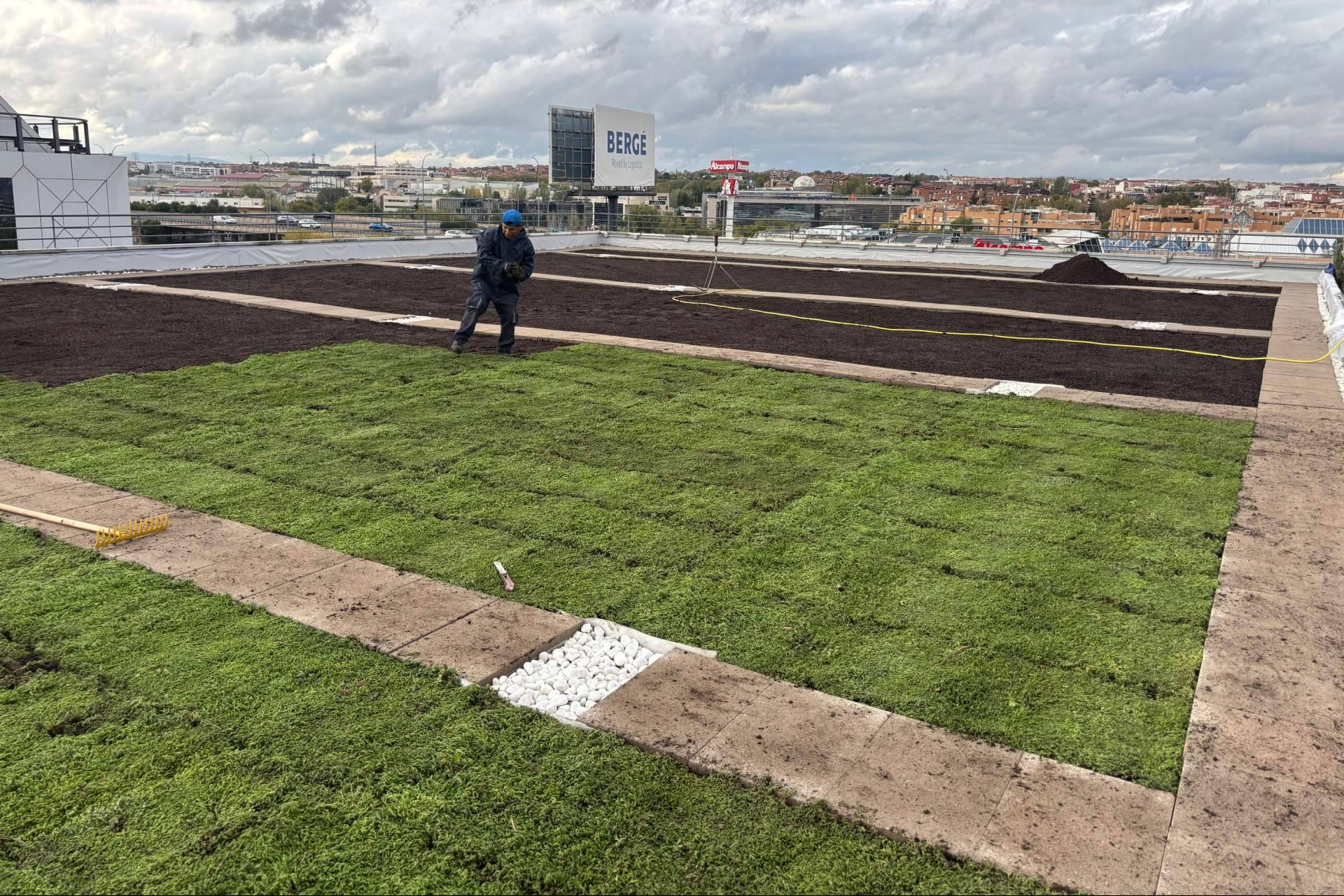 Las cubiertas ajardinadas en edificios ganan protagonismo como solución sostenible en entornos urbanos