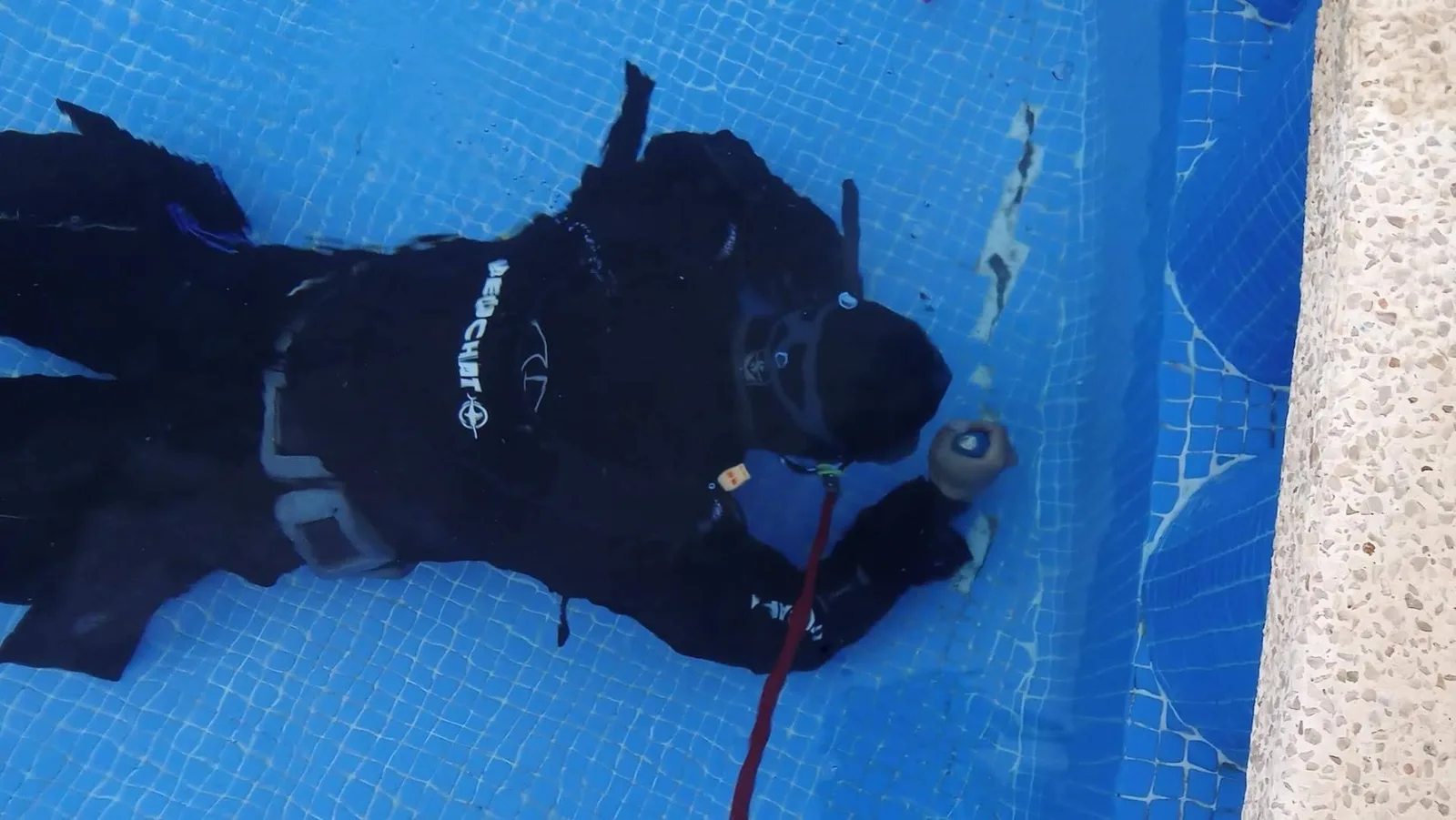La reparación de fugas de piscinas en Alicante encuentra una nueva vía con Telefuga y la tecnología sin obras